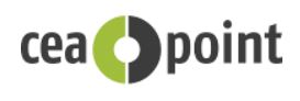 Ceapoint logo
